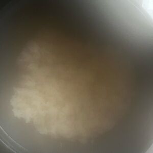 New Balance 574 Classic Navy/ Gray Sneaker Men’s Size 11.5 (M574BGS)